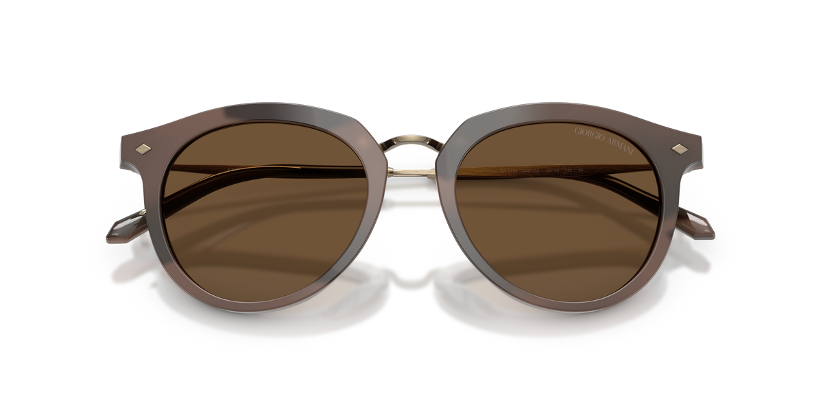 Giorgio Armani AR6191 646753