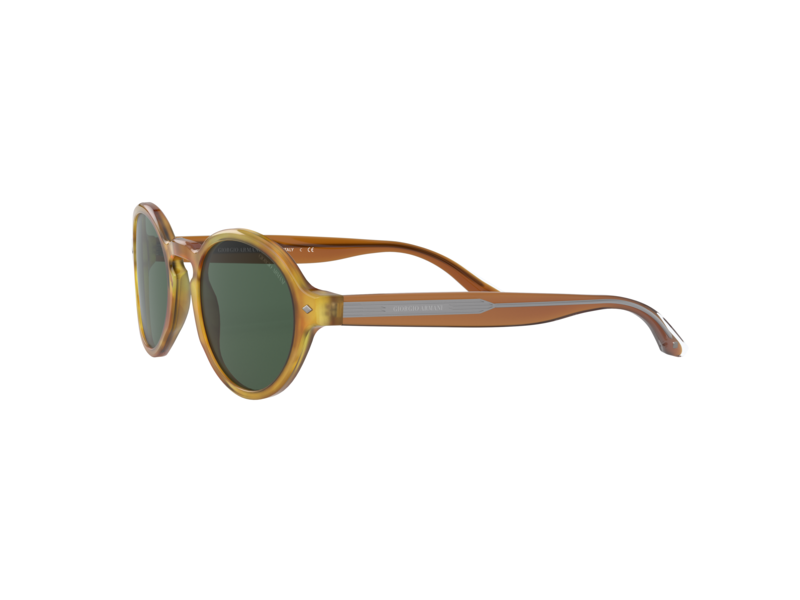 Giorgio Armani AR8130 576171