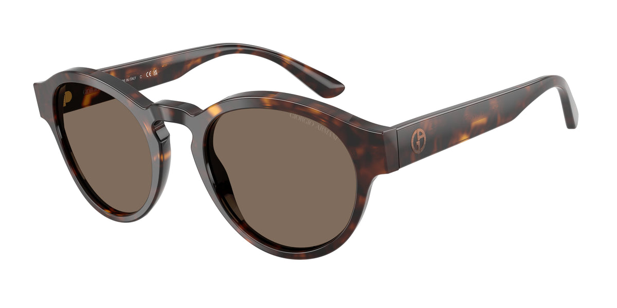Giorgio Armani AR8146 502673