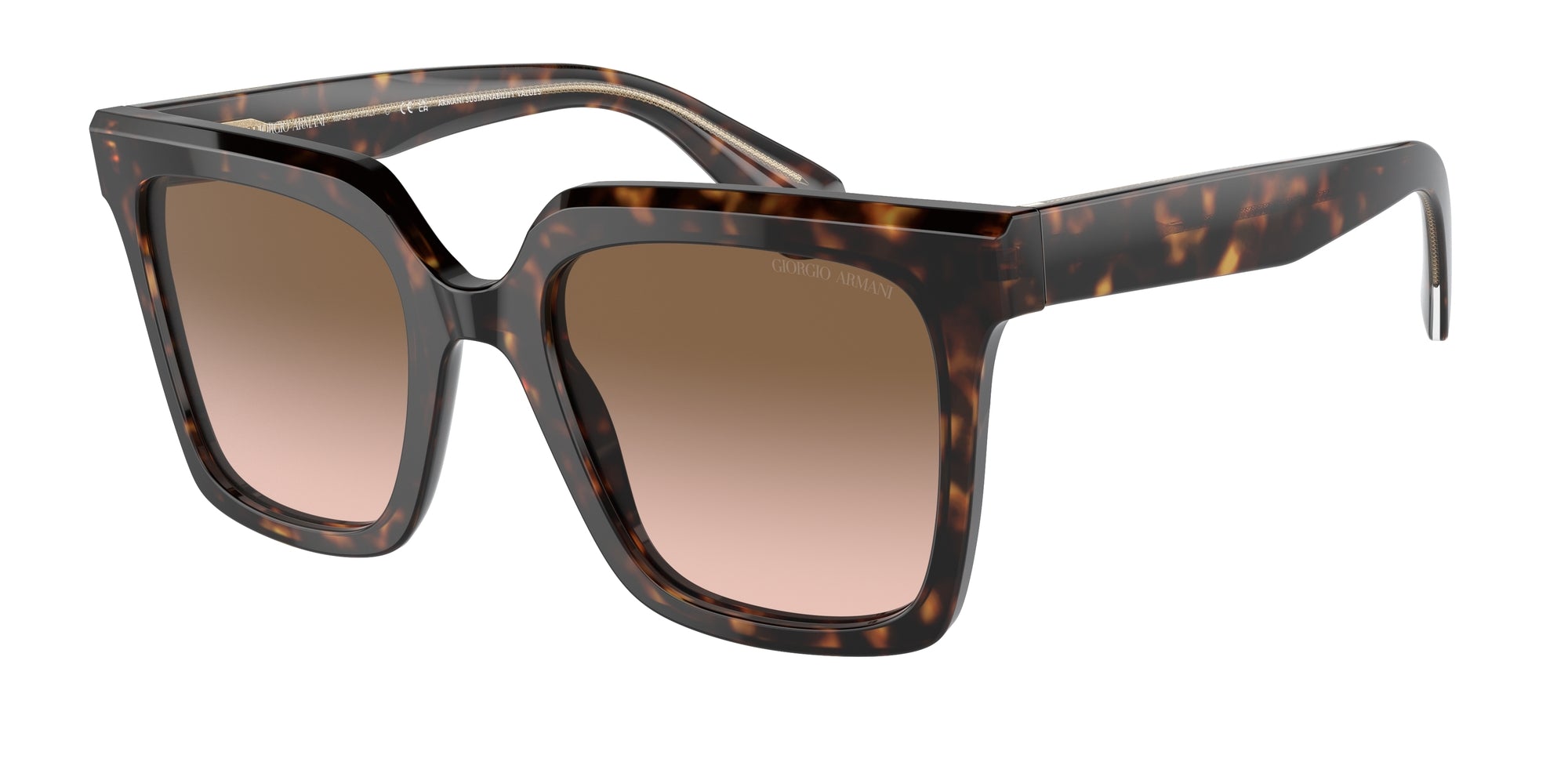 AR8156 587951 Occhiali da sole Giorgio Armani 1