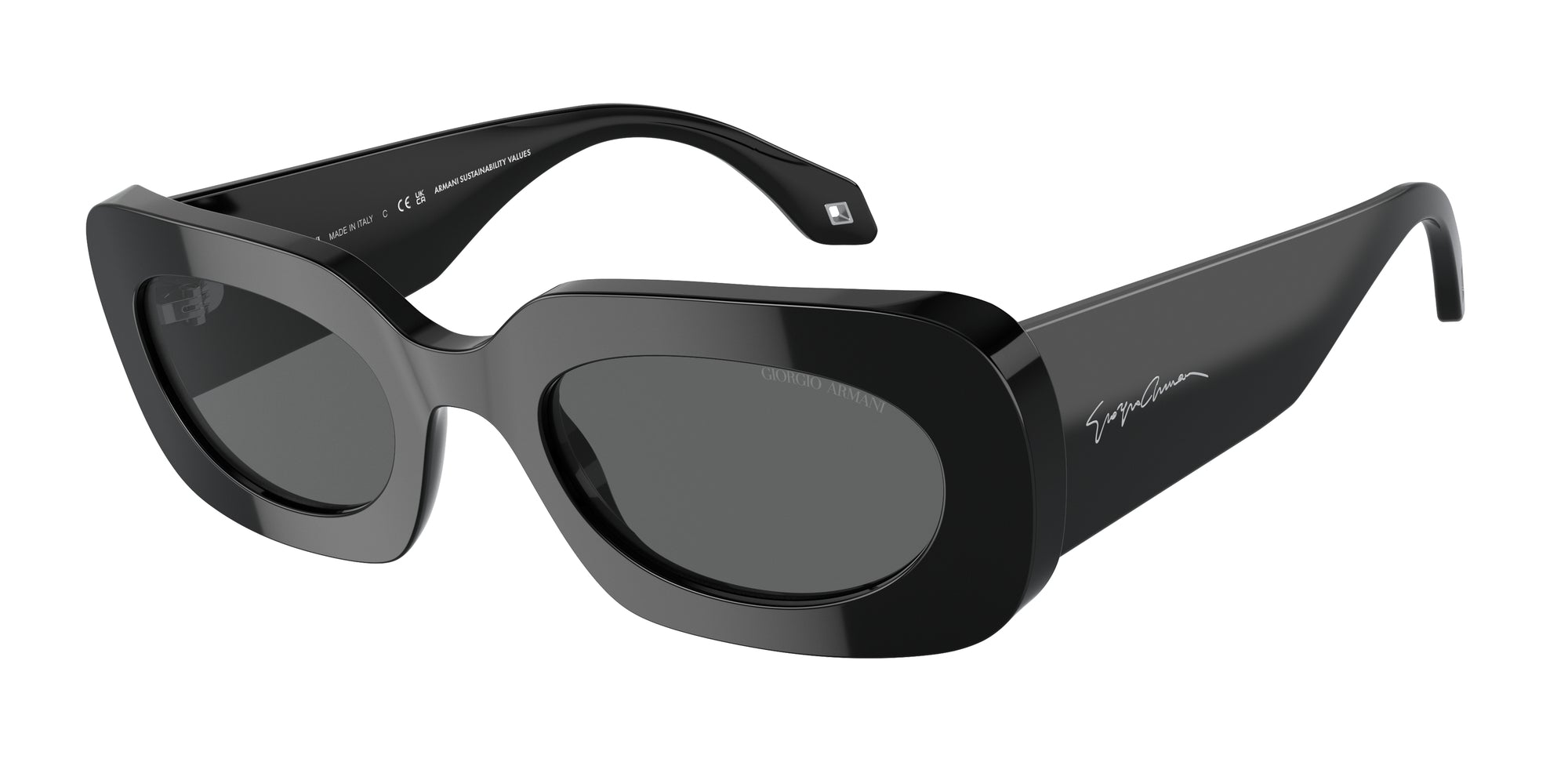 AR8182 5875B1 Occhiali da sole Giorgio Armani 1