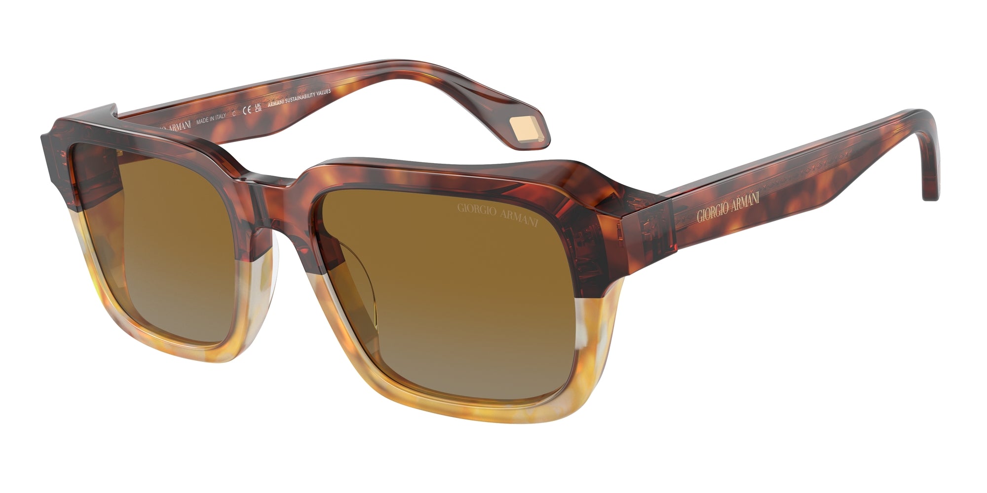AR8194U 6034B2 Occhiali da sole Giorgio Armani 1