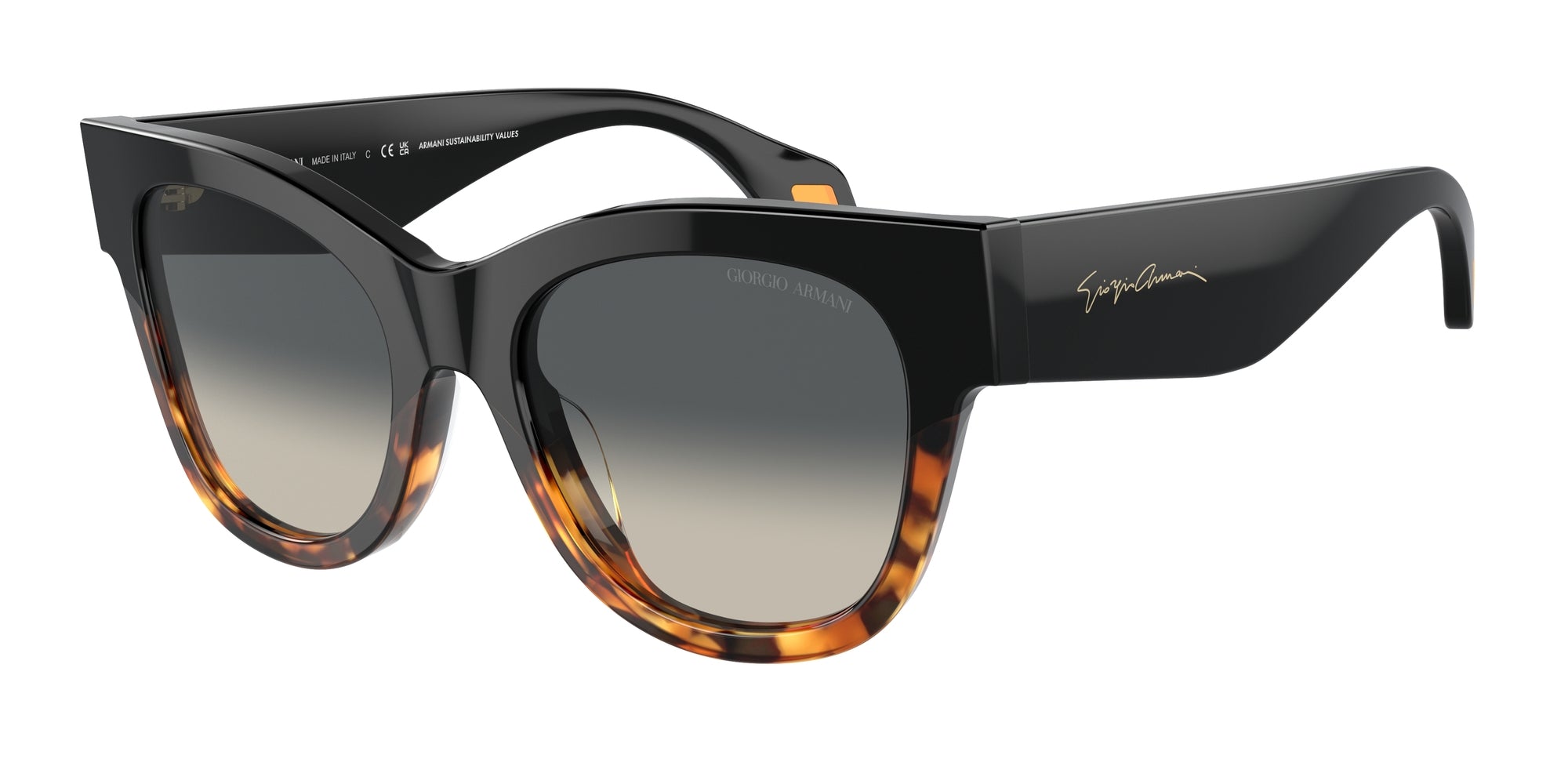 AR8195U 587519 Occhiali da sole Giorgio Armani 1