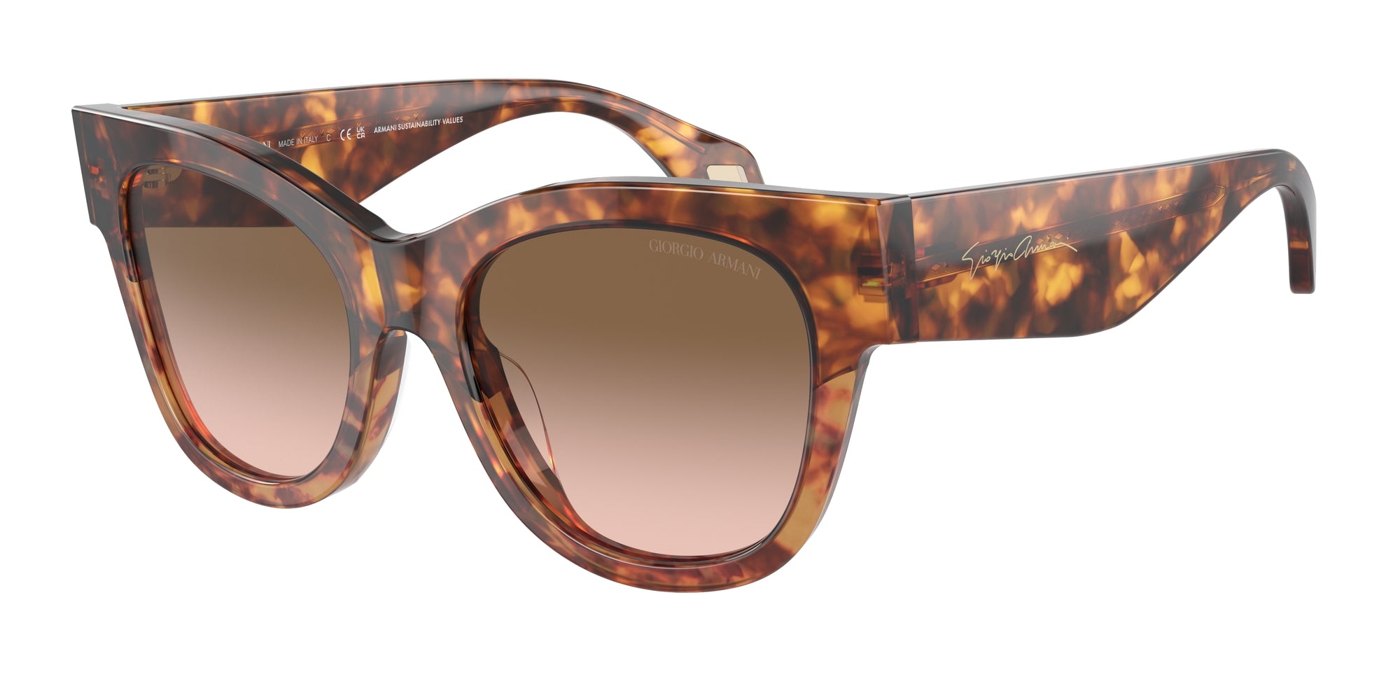 AR8195U 603351 Occhiali da sole Giorgio Armani 1