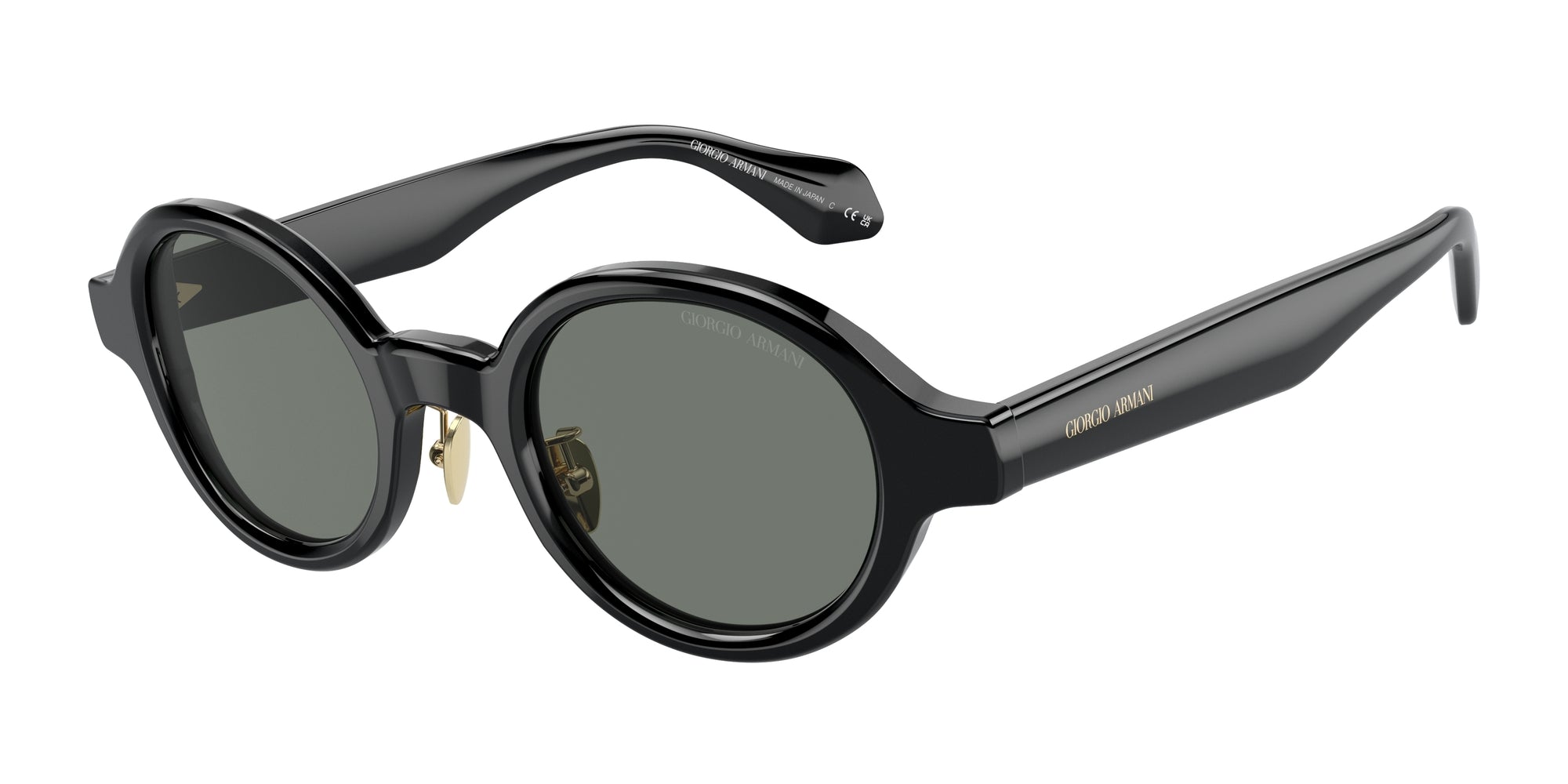 AR8205 6060/1 Occhiali da sole Giorgio Armani 1