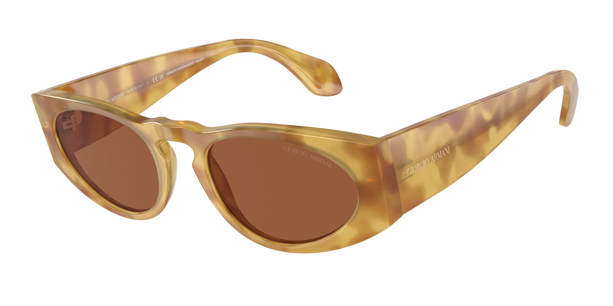 AR8216 597973 Occhiali da sole Giorgio Armani 1