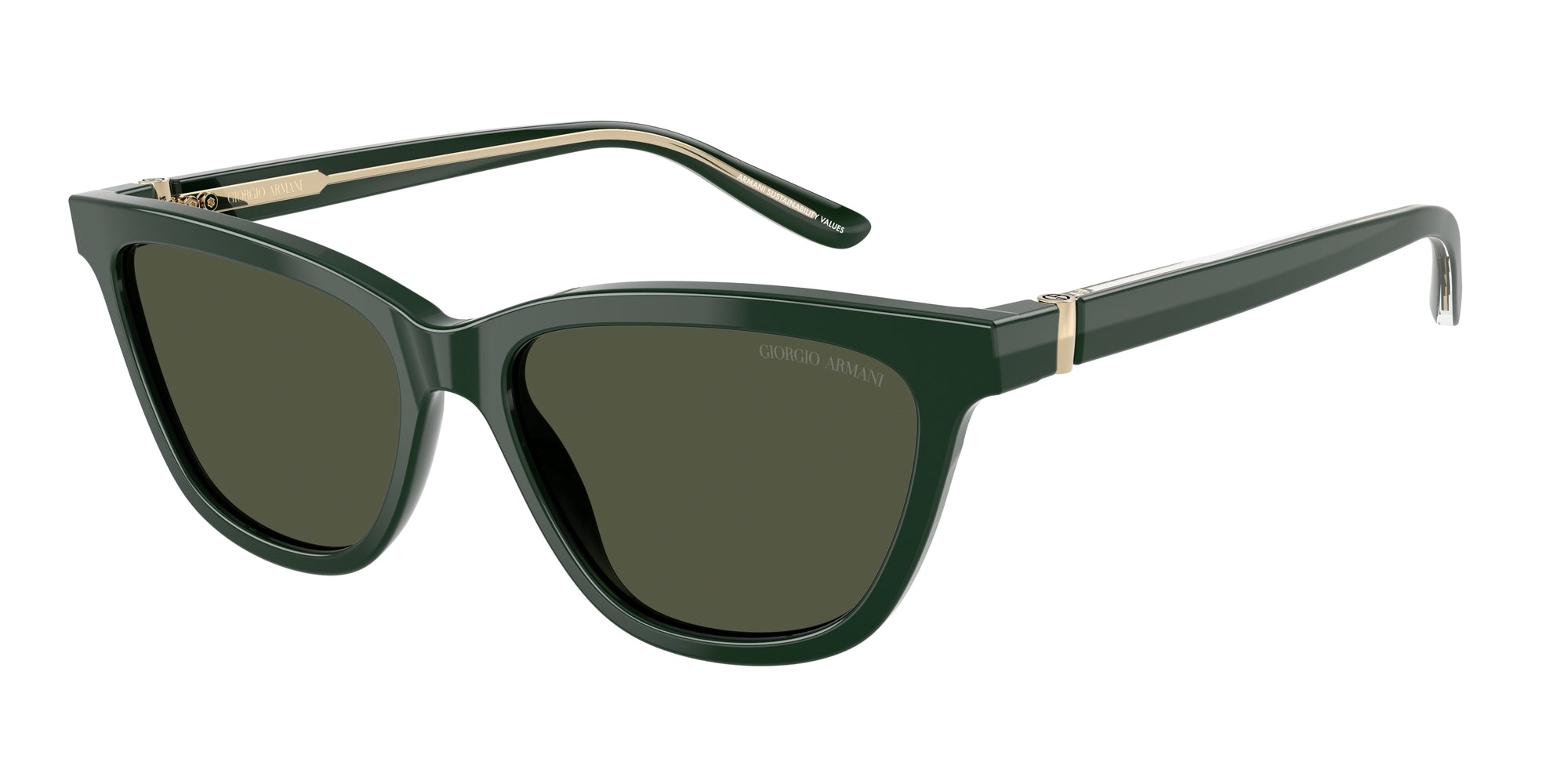 AR8221 617331 Occhiali da sole Giorgio Armani 1
