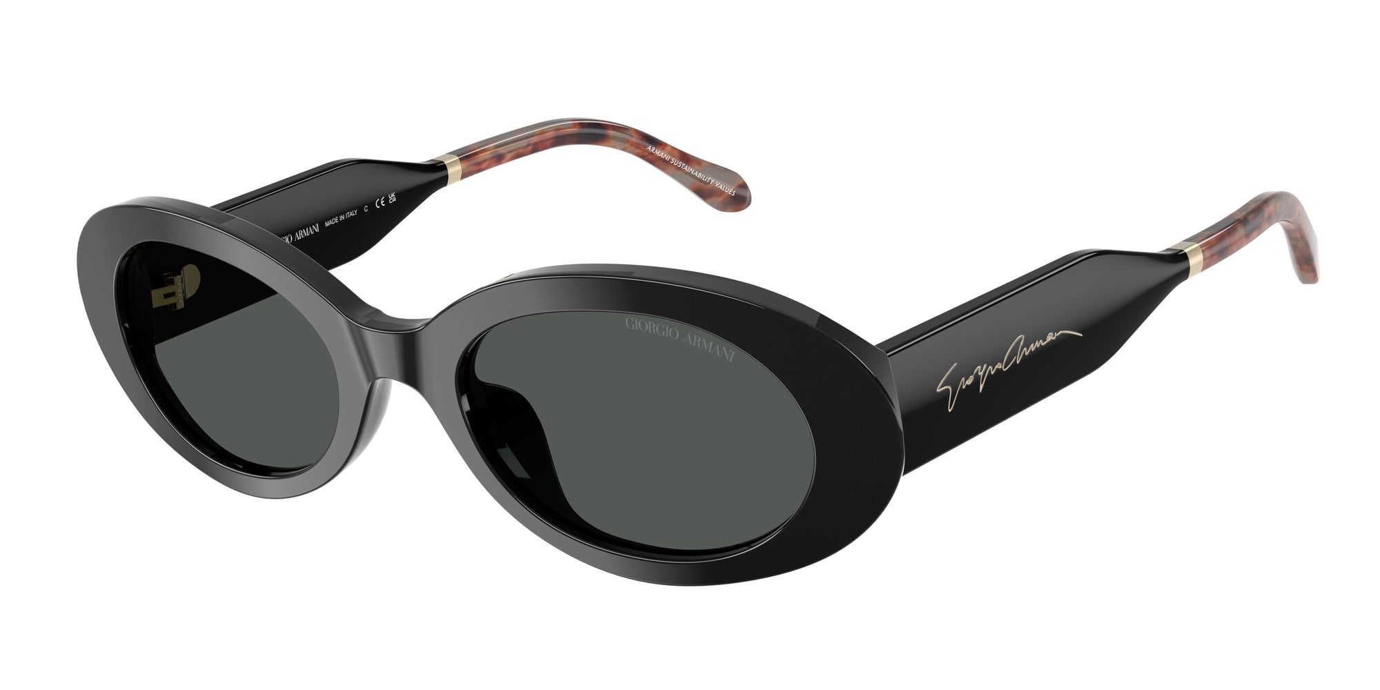 AR8234U 587587 Occhiali da sole Giorgio Armani 1