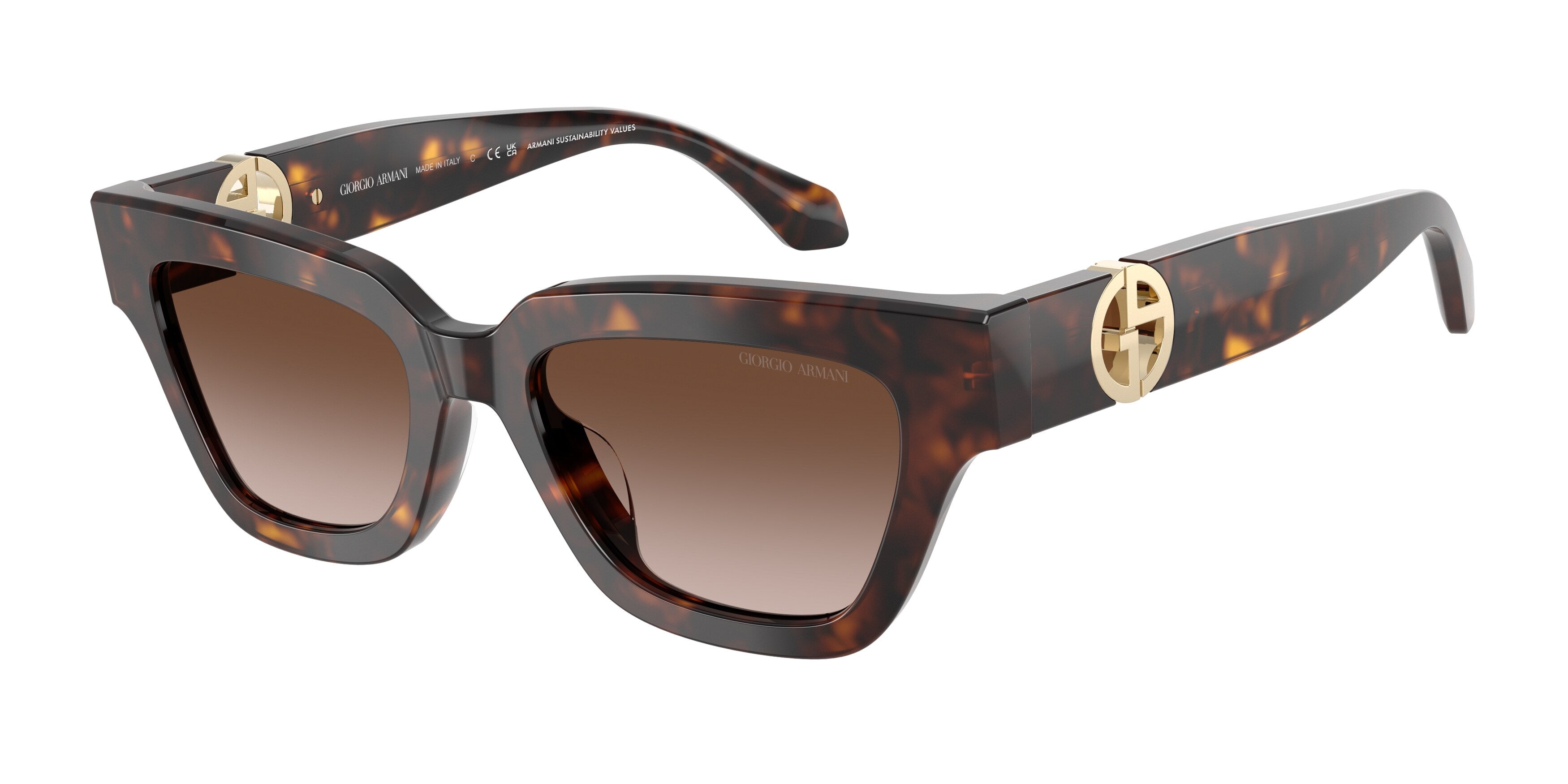 AR8246U 587913 Occhiali da sole Giorgio Armani 1