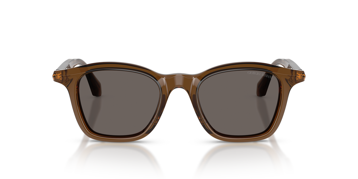 Giorgio Armani AR8257 642453