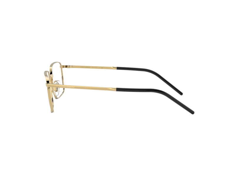 Dolce & Gabbana DG1328 02