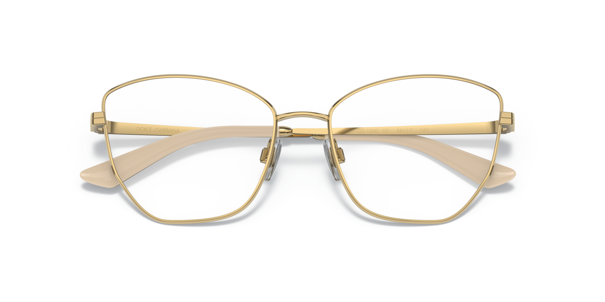 Dolce & Gabbana DG1340 02