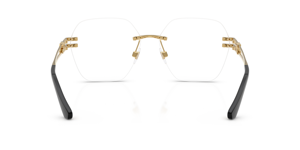 Dolce & Gabbana DG1369 02