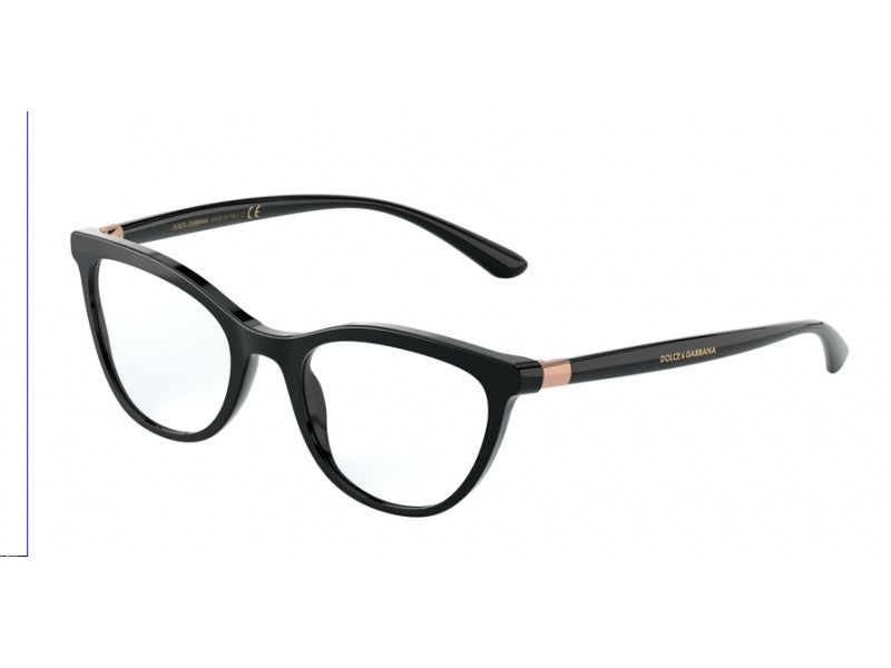 Dolce & Gabbana DG3324 501