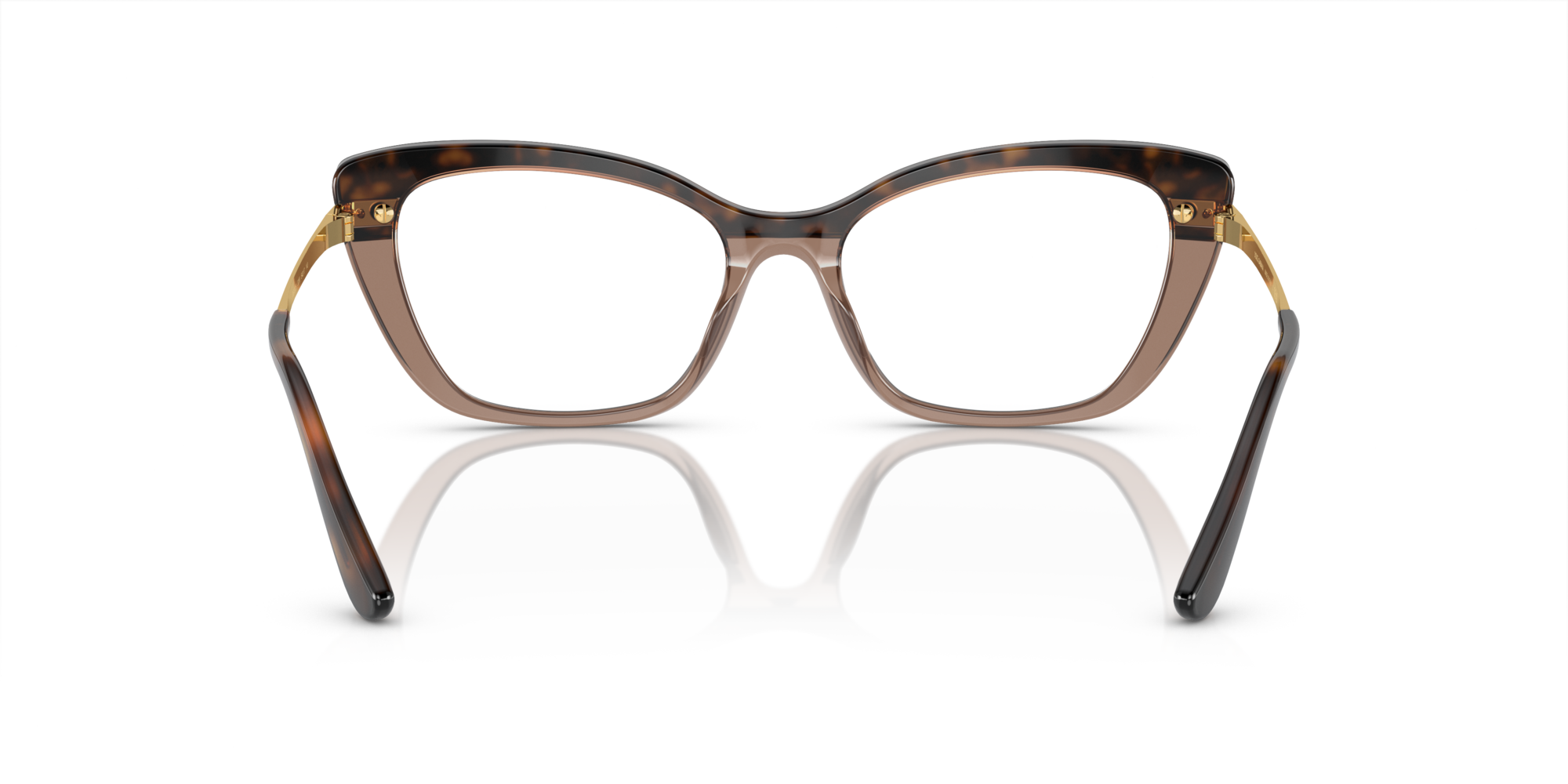 Dolce & Gabbana DG3325 3256 TOP HAVANA ON TRANSP BROWN Montature da vista Dolce & Gabbana 5