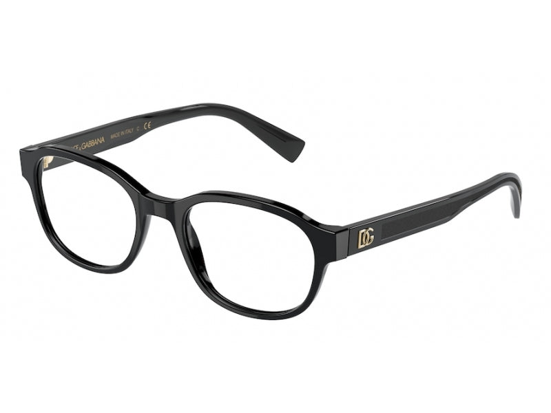 Dolce & Gabbana DG3339 501