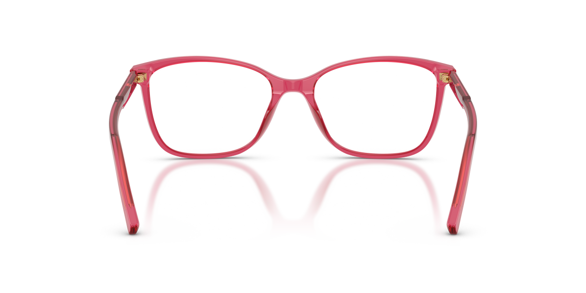 Dolce & Gabbana DG3424 1754