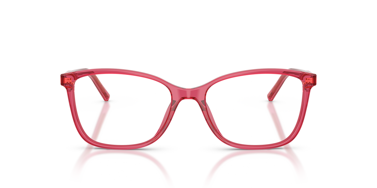 Dolce & Gabbana DG3424 1754