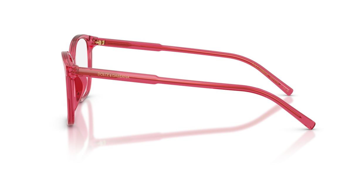 Dolce & Gabbana DG3424 1754
