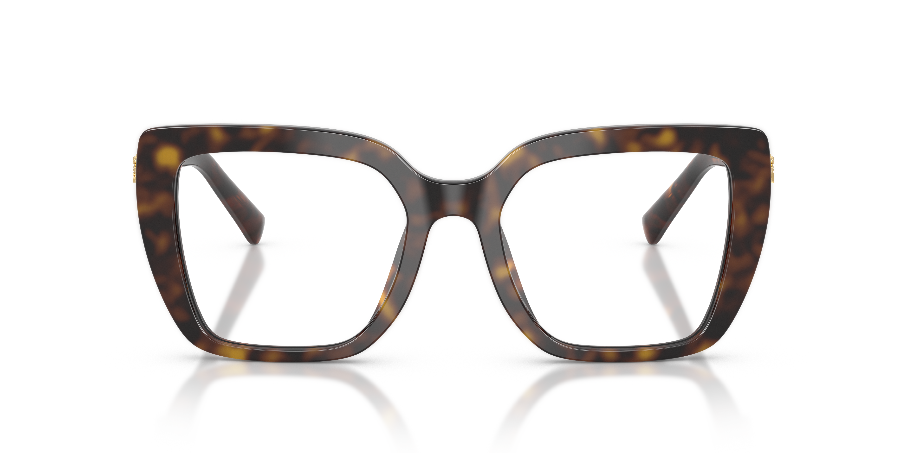 Dolce & Gabbana DG3441 502