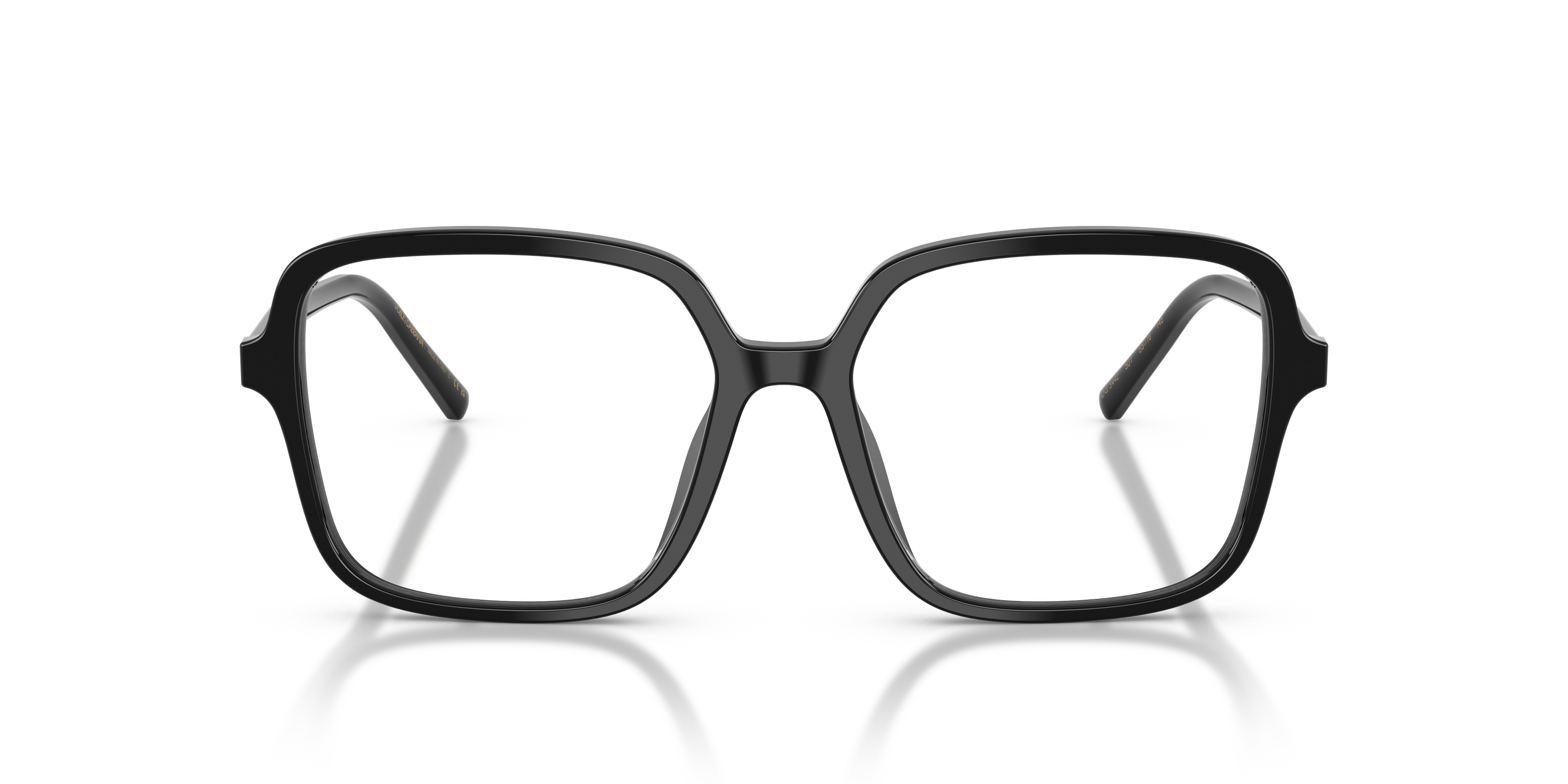 Dolce & Gabbana DG3442 501