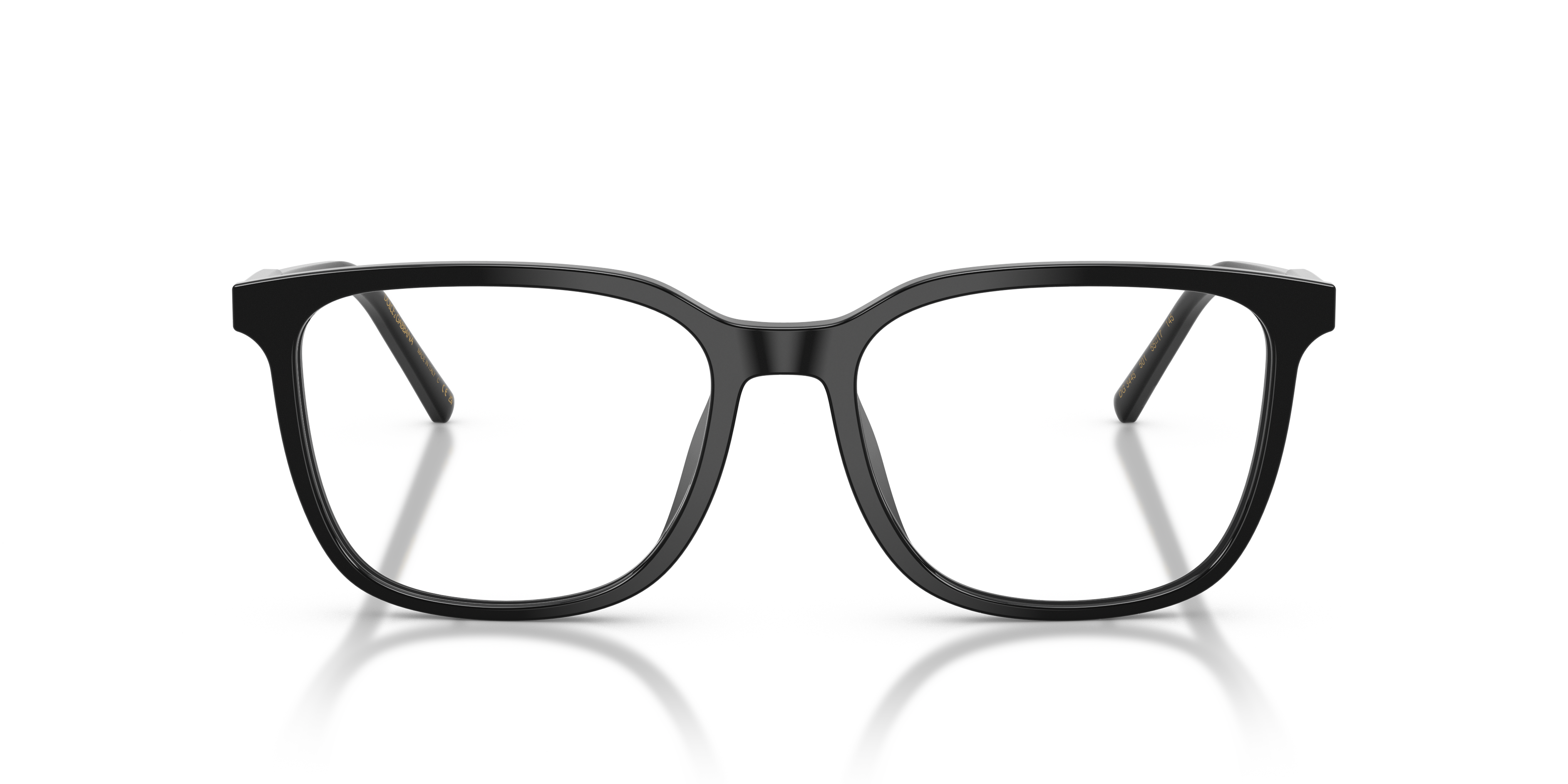 Dolce & Gabbana DG3445 501