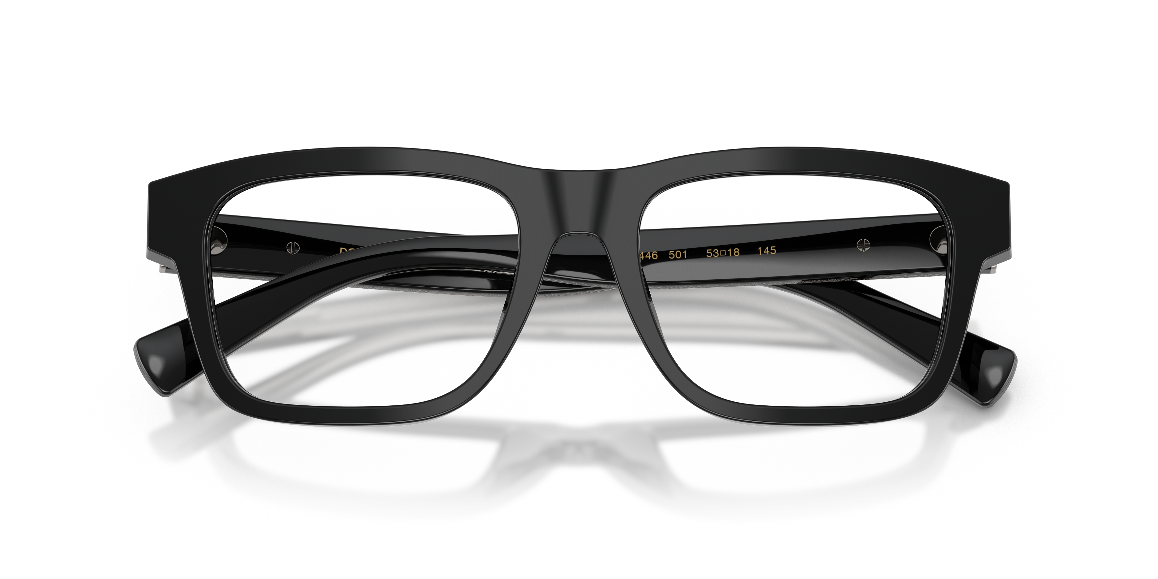 Dolce & Gabbana DG3446 501