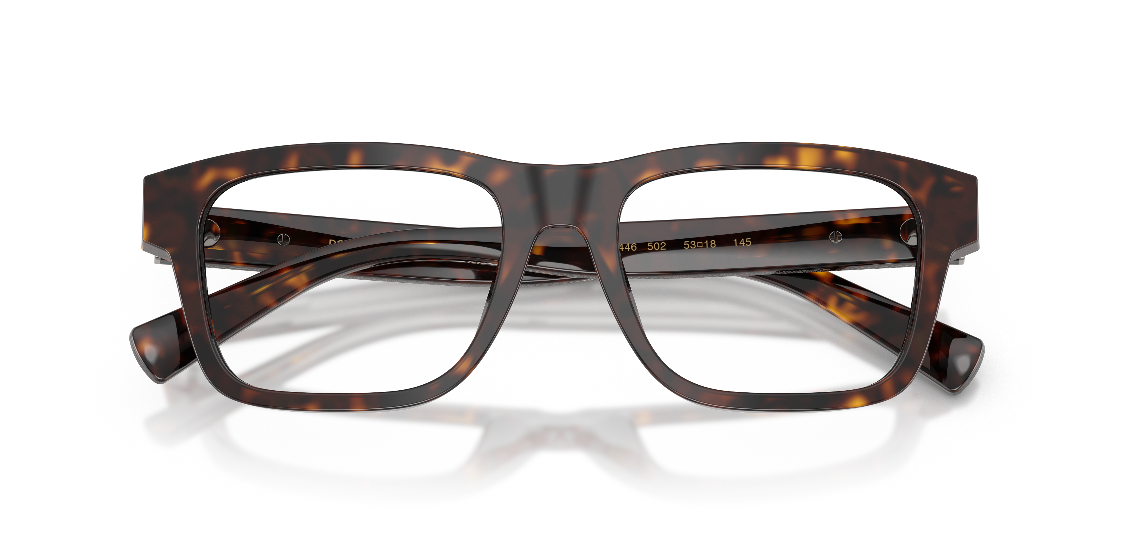 Dolce & Gabbana DG3446 502