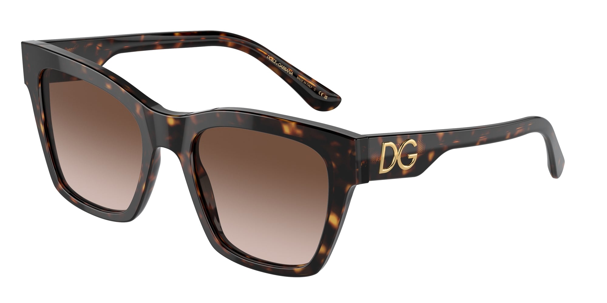 DG4384 502/13 Occhiali da sole Dolce & Gabbana 1