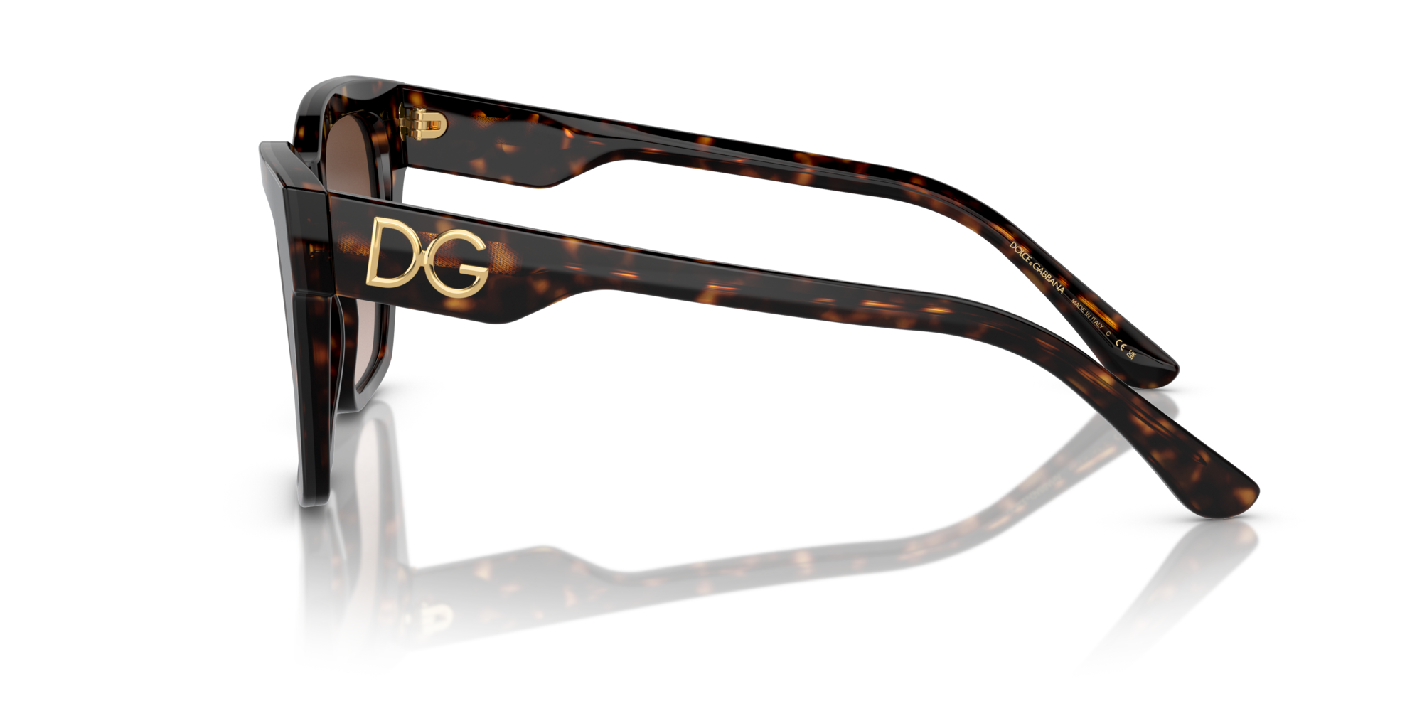 DG4384 502/13 Occhiali da sole Dolce & Gabbana 4