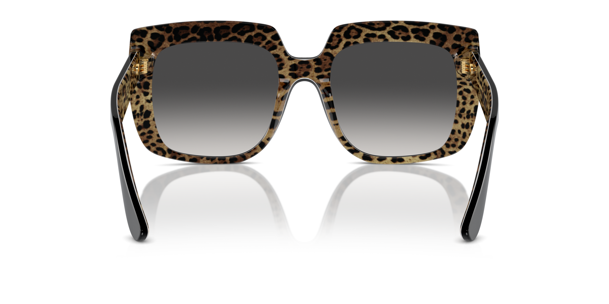 DG4414 32998G Occhiali da sole Dolce & Gabbana 5