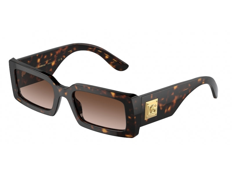 DG4416 502/13 Occhiali da sole Dolce & Gabbana 1