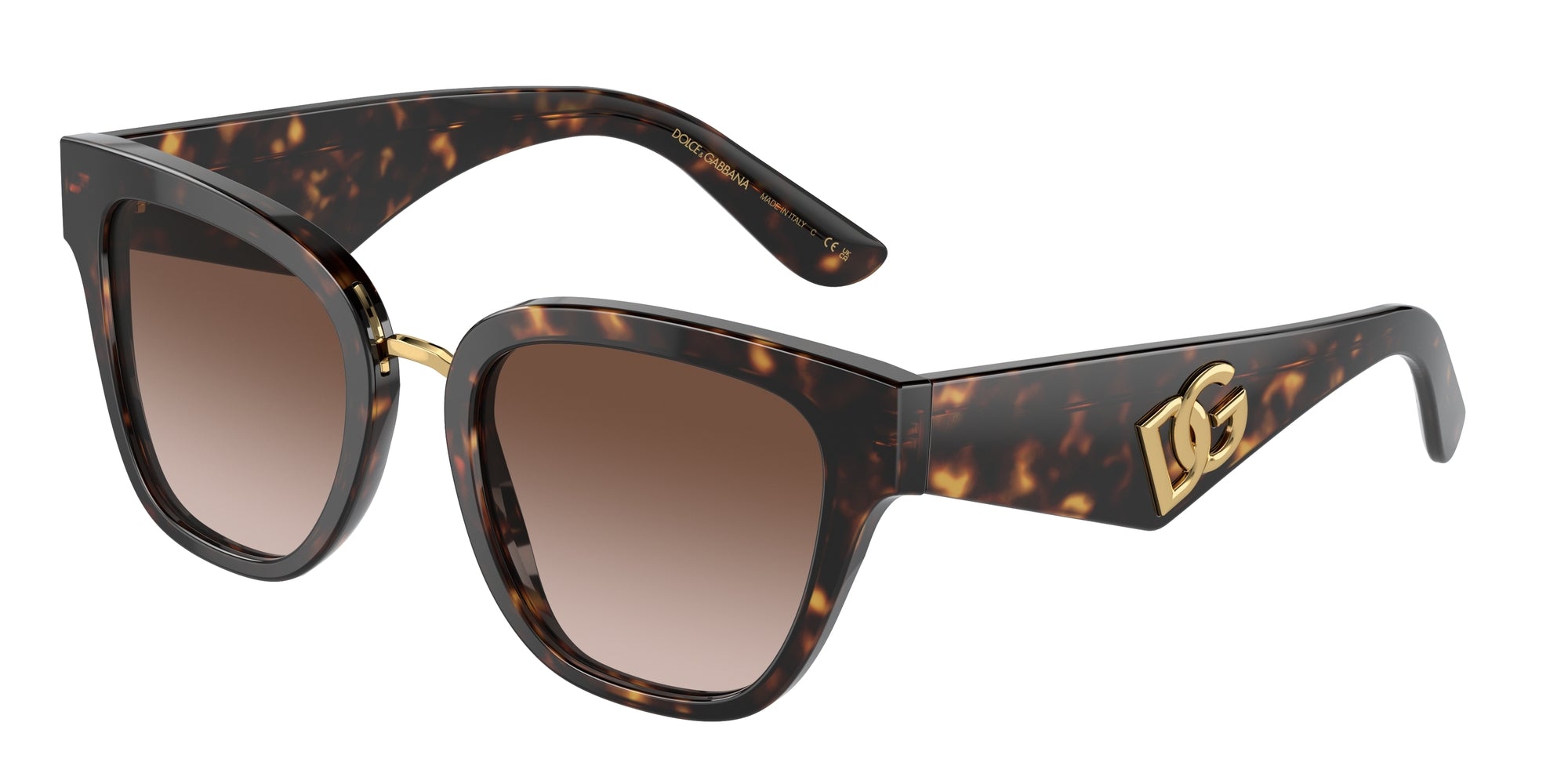 DG4437 502/13 Occhiali da sole Dolce & Gabbana 1