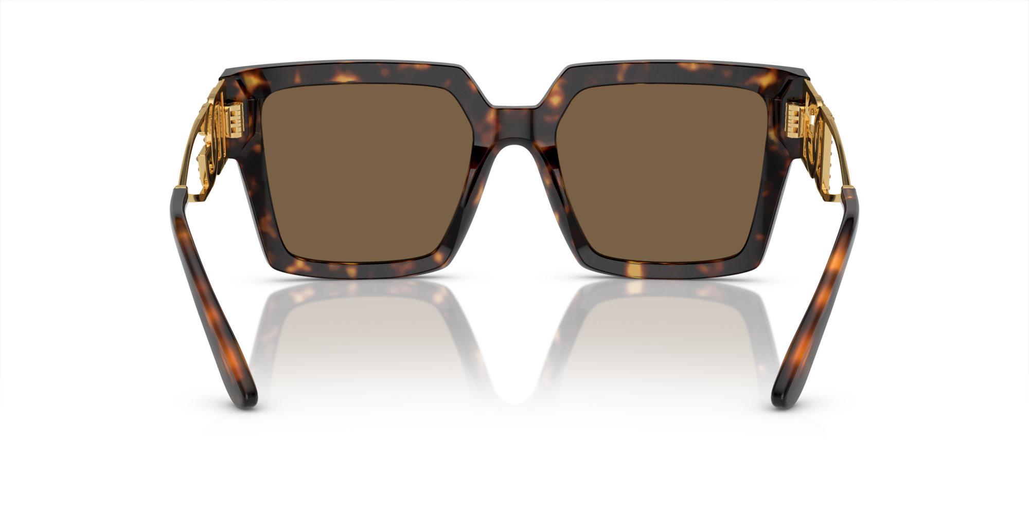 DG4446B 502/73 Occhiali da sole Dolce & Gabbana 5