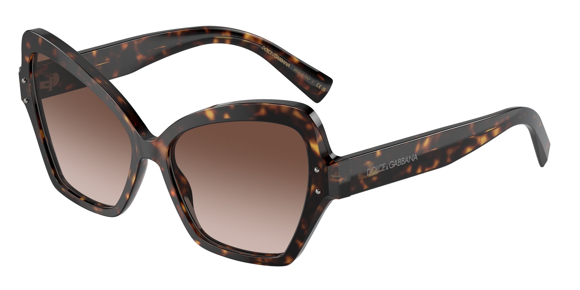DG4463 502/13 Occhiali da sole Dolce & Gabbana 1