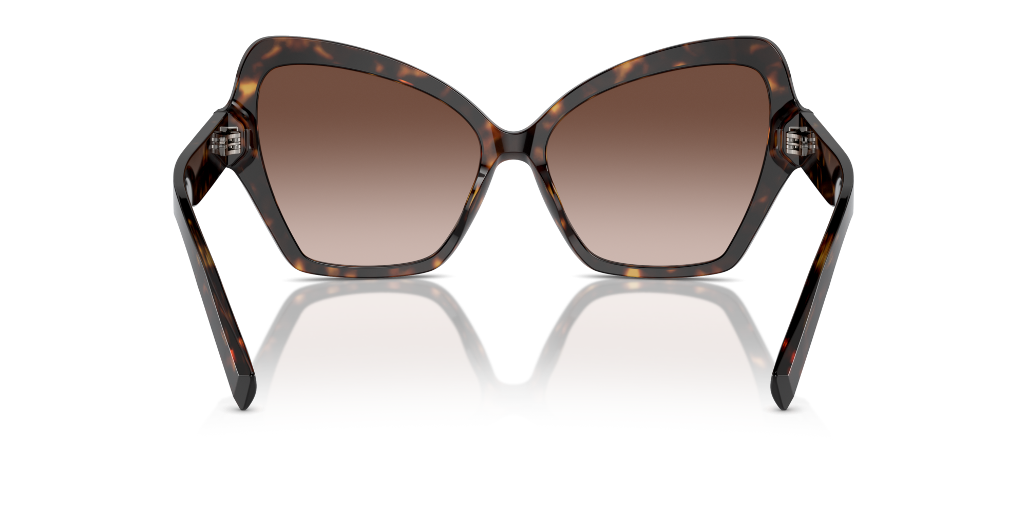 DG4463 502/13 Occhiali da sole Dolce & Gabbana 5