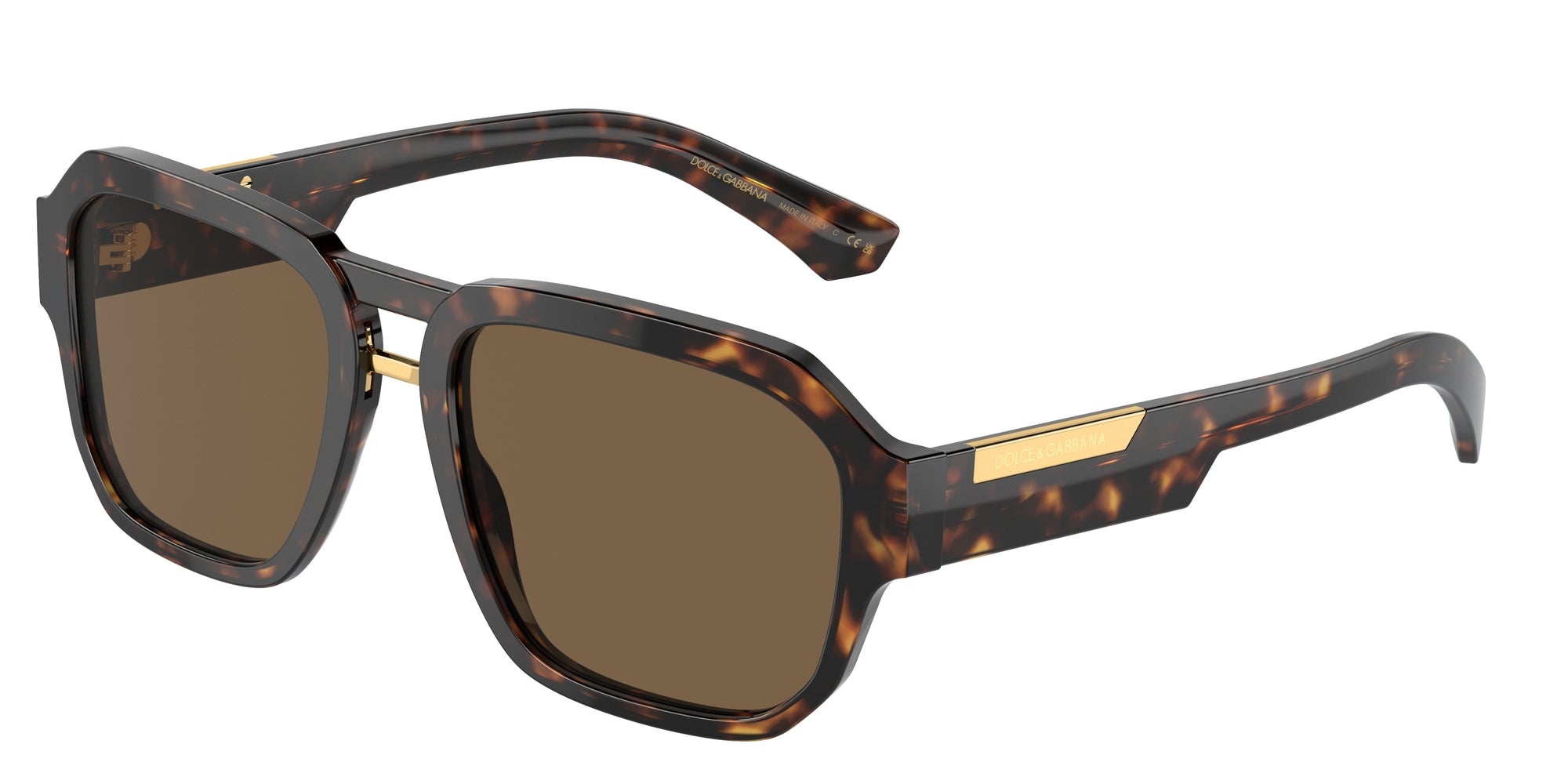 DG4464 502/73 Occhiali da sole Dolce & Gabbana 1