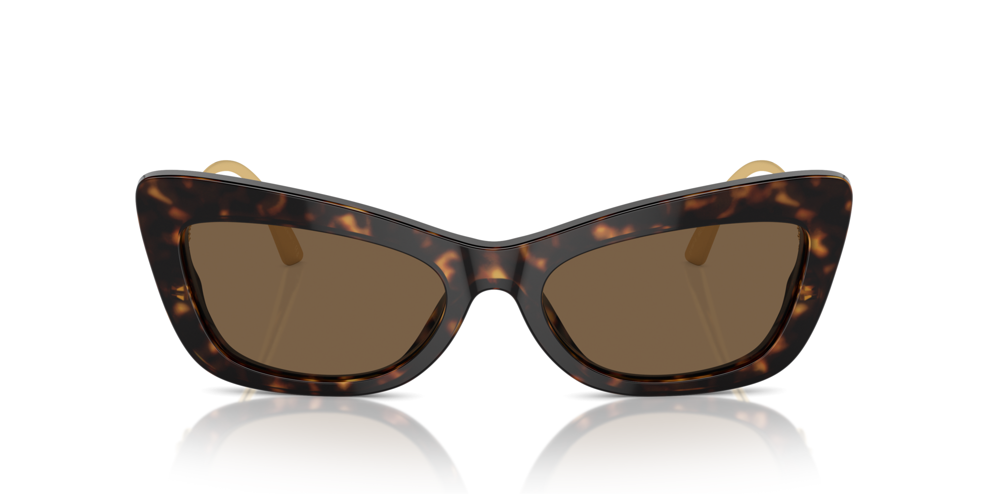 DG4467B 502/73 Occhiali da sole Dolce & Gabbana 3