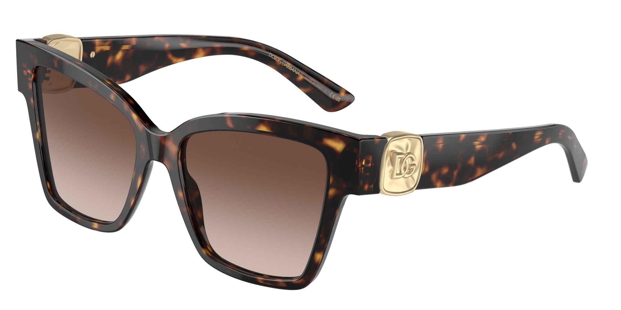DG4470 502/13 Occhiali da sole Dolce & Gabbana 1