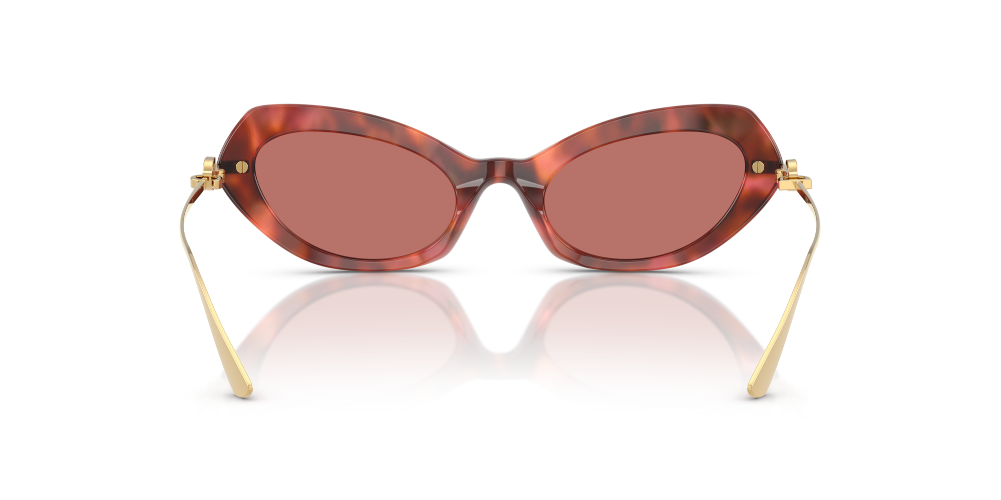 DG4473 344469 Occhiali da sole Dolce & Gabbana 5