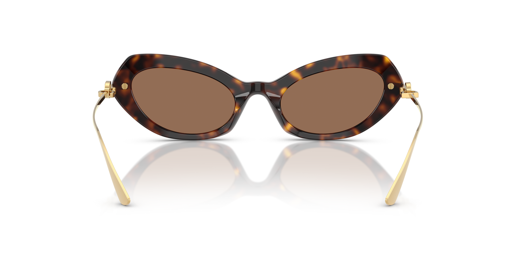 DG4473 502/73 Occhiali da sole Dolce & Gabbana 5
