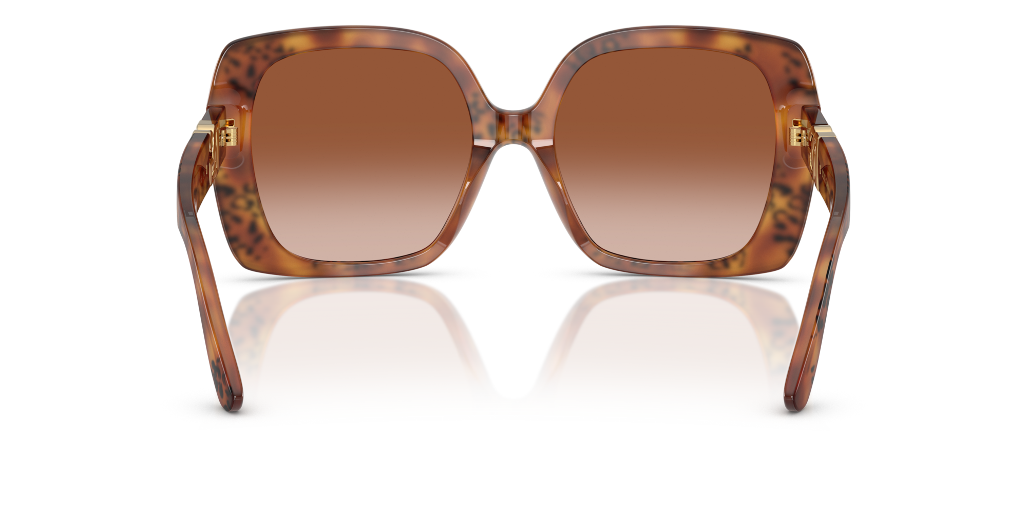 DG4475 338013 Occhiali da sole Dolce & Gabbana 5