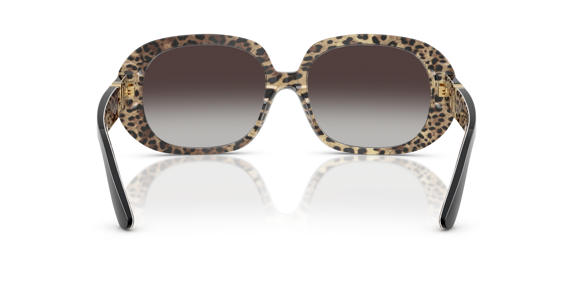 DG4476 32998G Occhiali da sole Dolce & Gabbana 5
