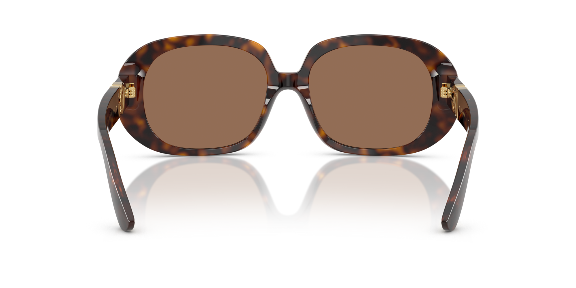 DG4476 502/73 Occhiali da sole Dolce & Gabbana 5