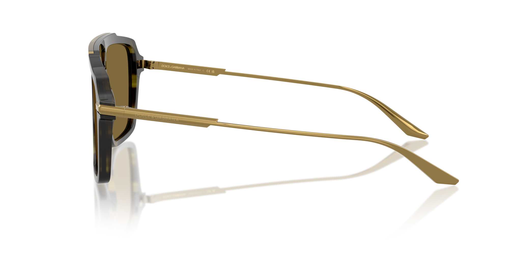 DG4477 3447S7 Occhiali da sole Dolce & Gabbana 4
