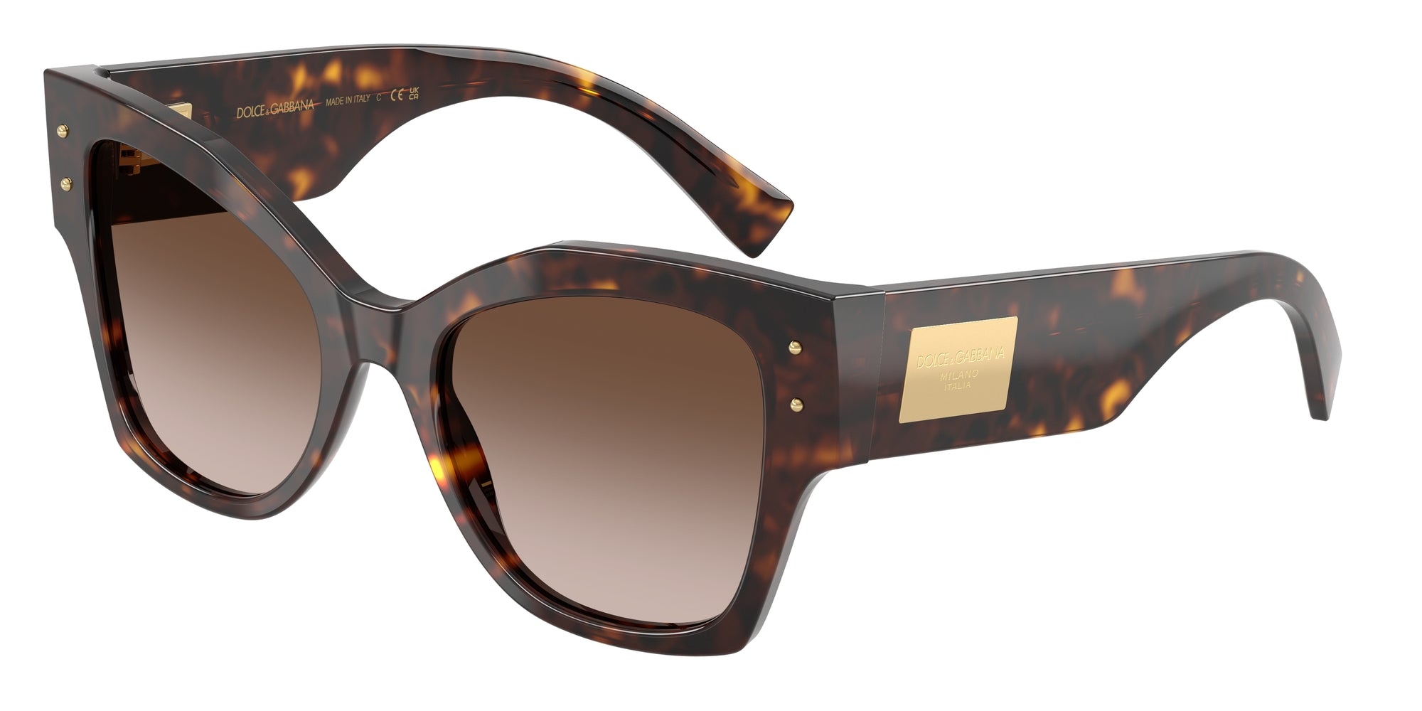 DG4478 502/13 Occhiali da sole Dolce & Gabbana 1