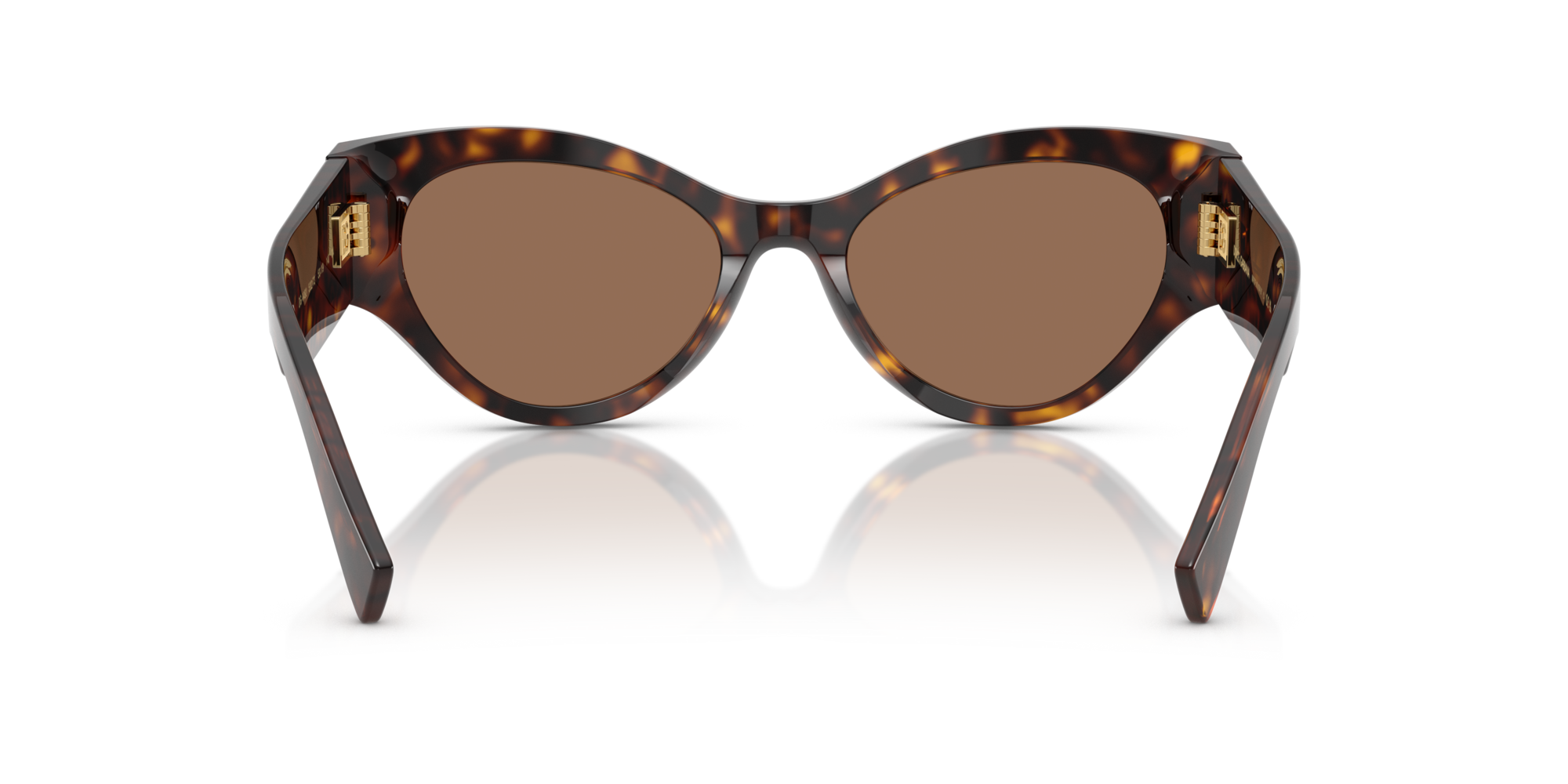 DG4480 502/73 Occhiali da sole Dolce & Gabbana 5