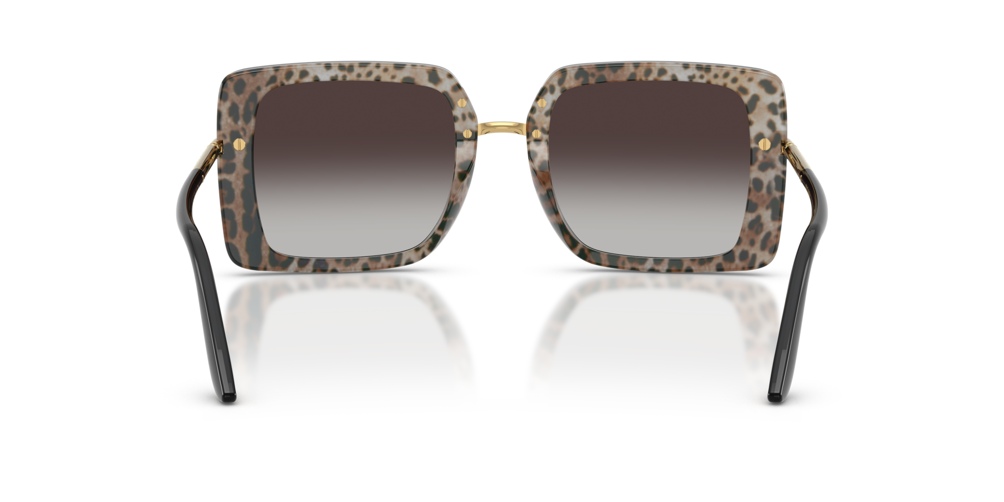 DG4491 32998G Occhiali da sole Dolce & Gabbana 5
