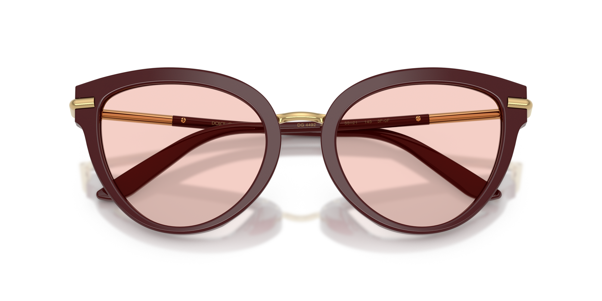 DG4492 3091P5 Occhiali da sole Dolce & Gabbana 2