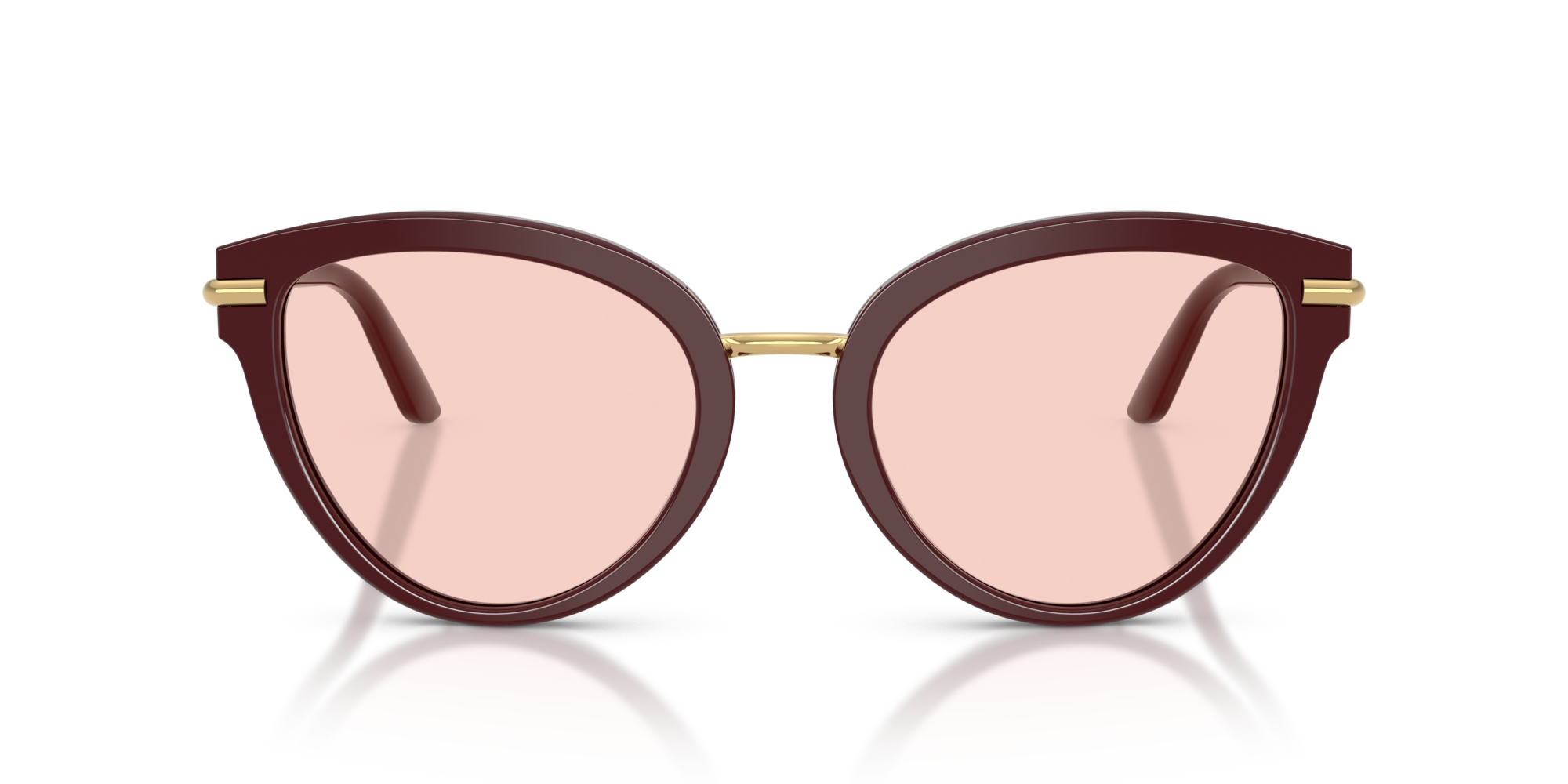 DG4492 3091P5 Occhiali da sole Dolce & Gabbana 3
